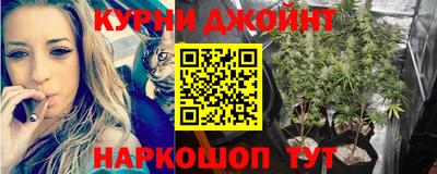 PSILOCYBIN Пугачёв