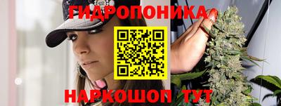 PSILOCYBIN Пугачёв
