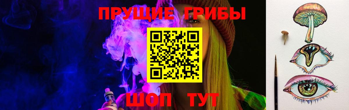 Псилоцибиновые грибы Psilocybe  Псилоцибиновые грибы ЛСД  Вход с VPN  Соль-Илецк 